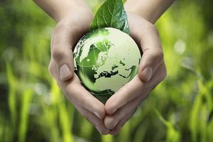 Вся правда про eco-friendly засоби: як не купити зелений маркетинг фото